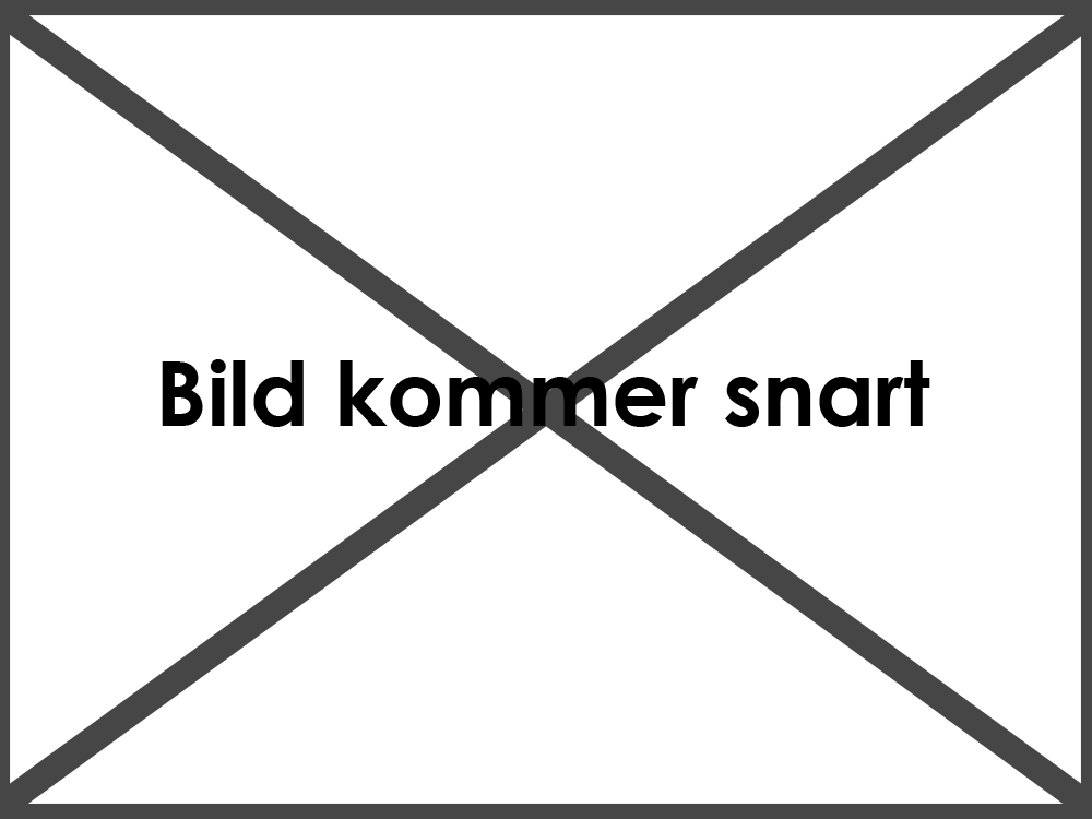Placeholder mekonomen Lindome